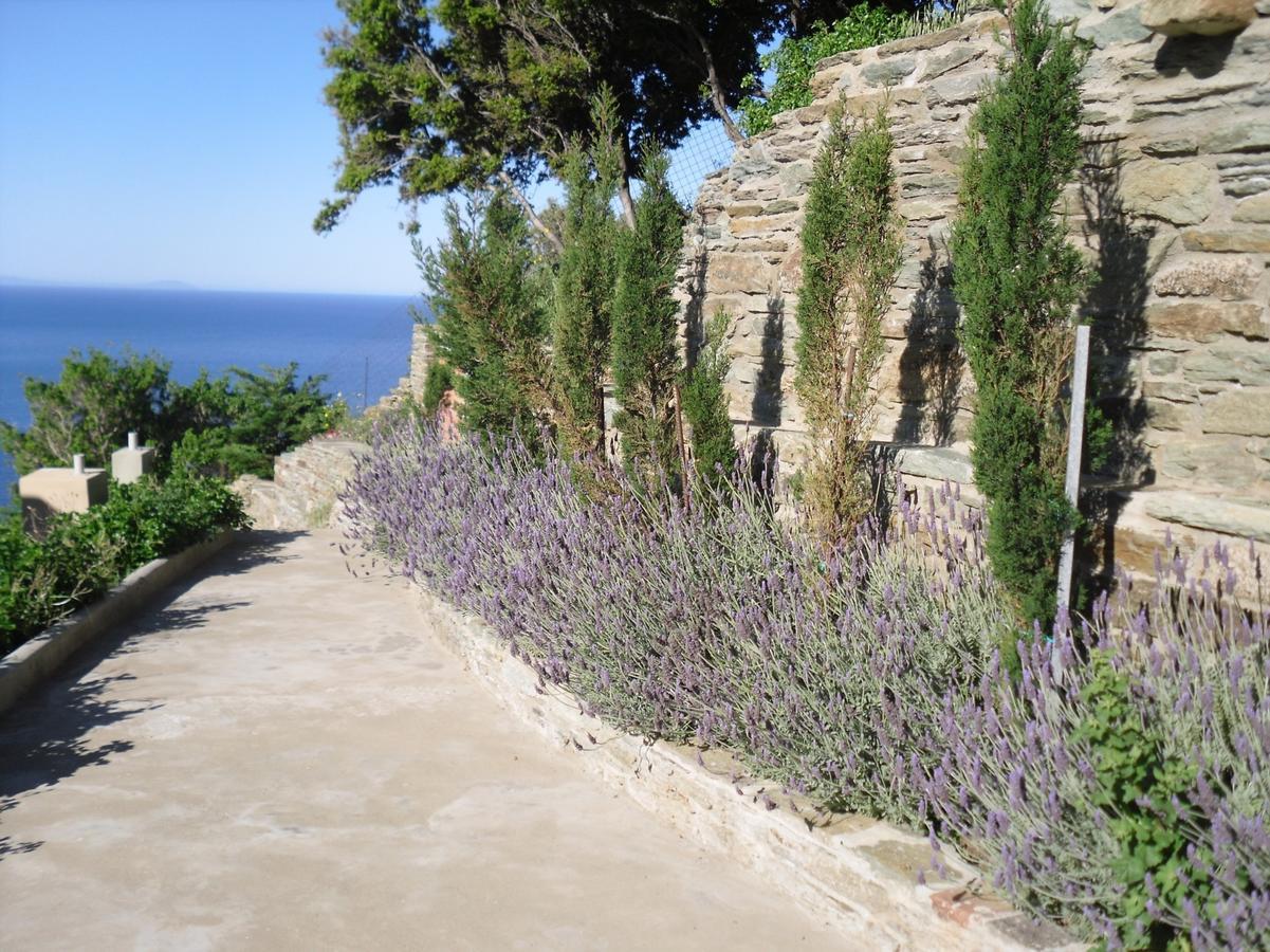 Aegean Castle Andros - Adults Only Aparthotel Agia Eleousa Екстериор снимка